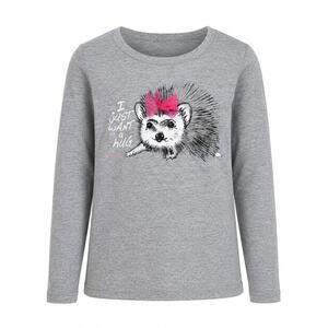 Faded Glory Girls Hedgehog Graphic Long Sleeve Gray Shirt XS 4 5 Cute